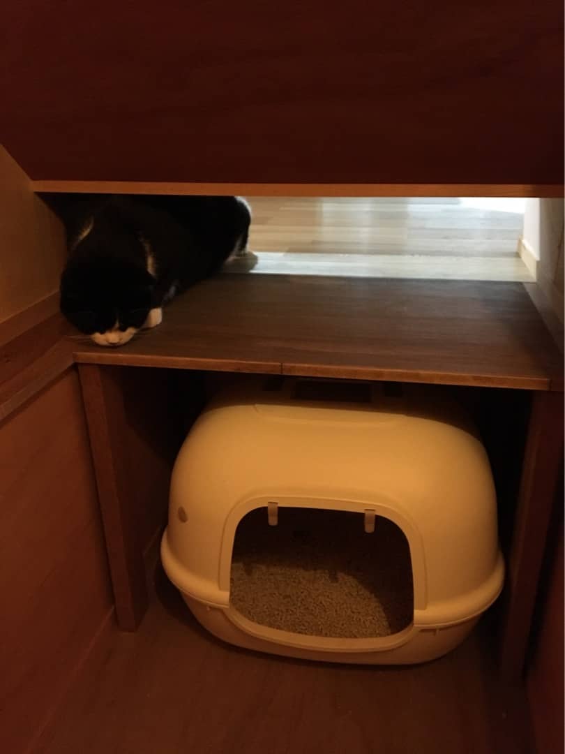 {37DE3282-F469-4458-8779-F3082764CE60}