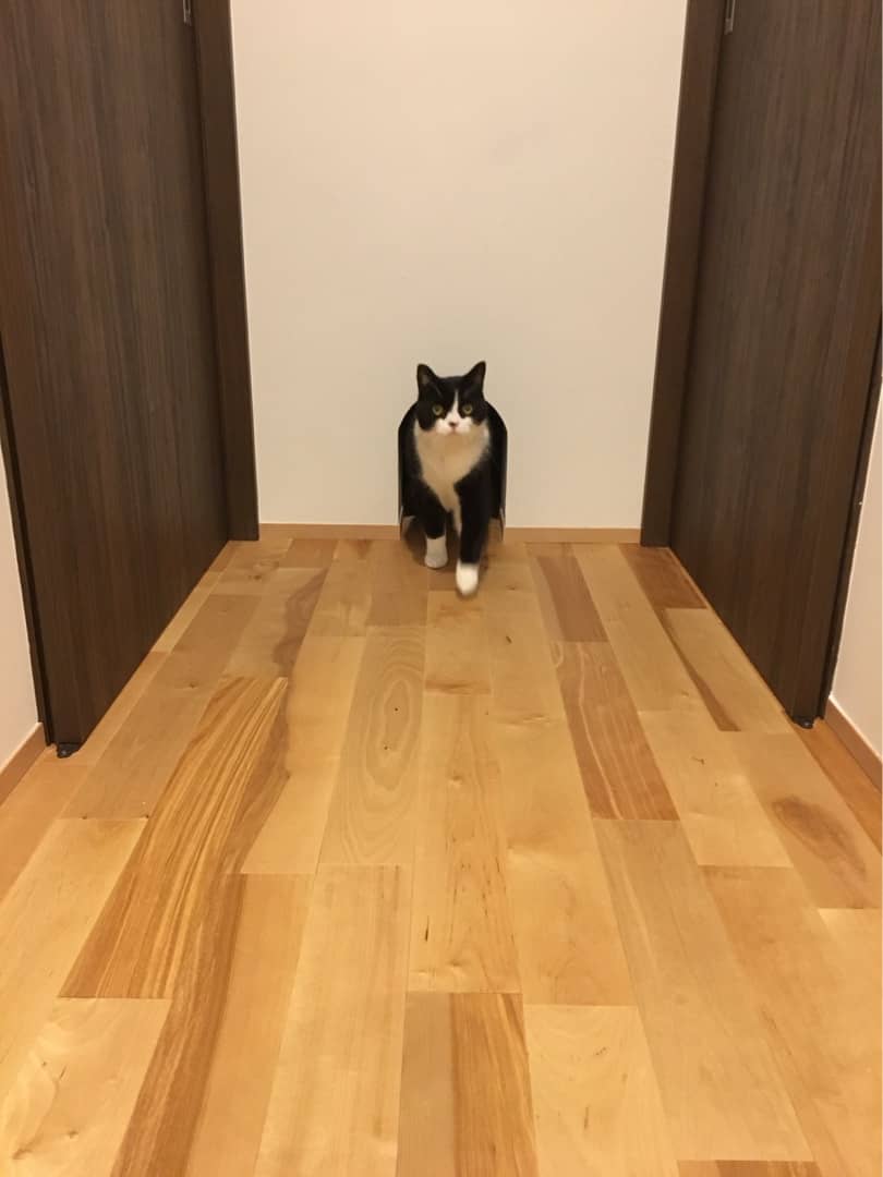 {698965B4-D955-4571-9A75-16F0339CD98F}