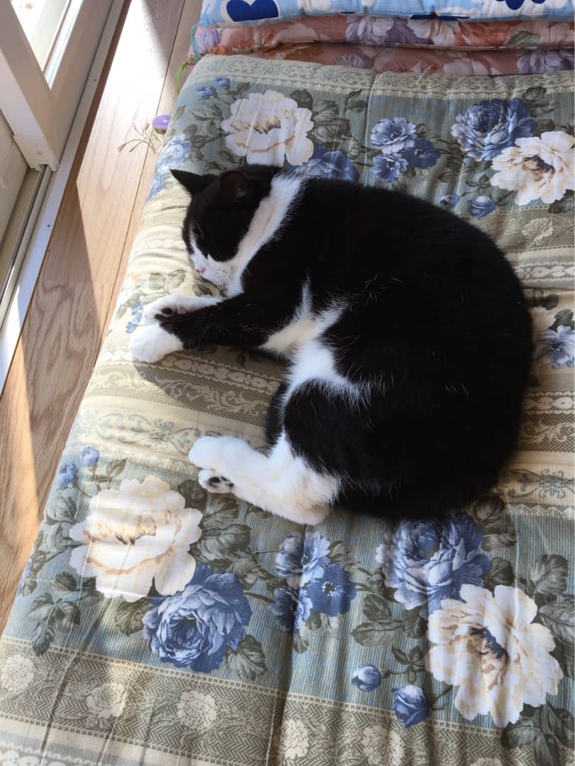 {7B2F9A14-8EF8-4665-9BC6-C35C11FFC8BB}