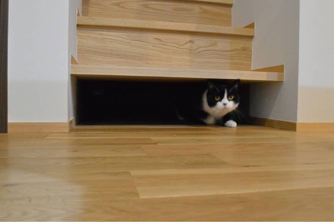 {810F3505-A530-4C8A-BF72-88D35577AAE9}