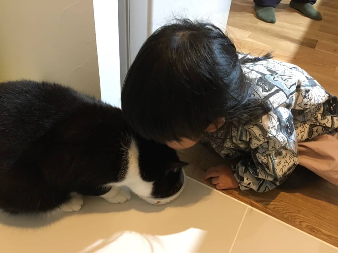 {4EE046B0-0516-4C4D-A633-AFD30E48AB67}