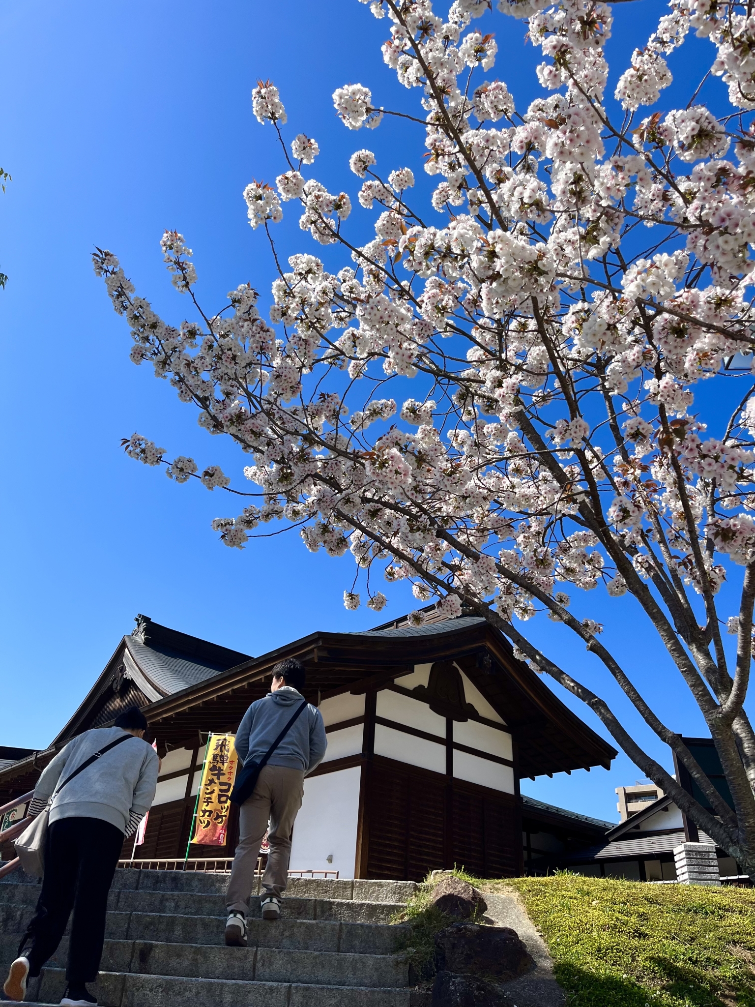 生まれ故郷でのしごと。 |スタッフブログ|株式会社エムズアソシエイツ